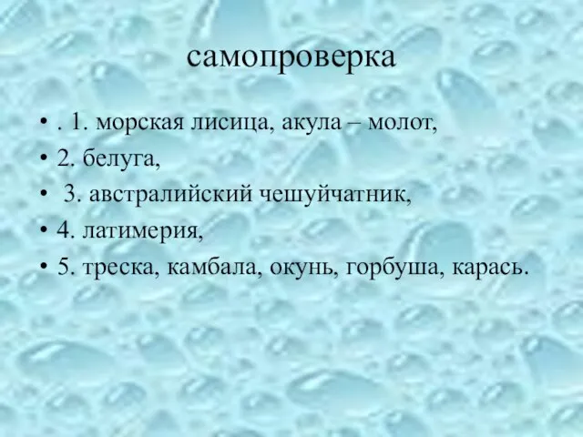 самопроверка . 1. морская лисица, акула – молот, 2. белуга, 3.