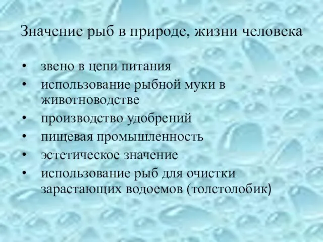 Значение рыб в природе, жизни человека звено в цепи питания использование