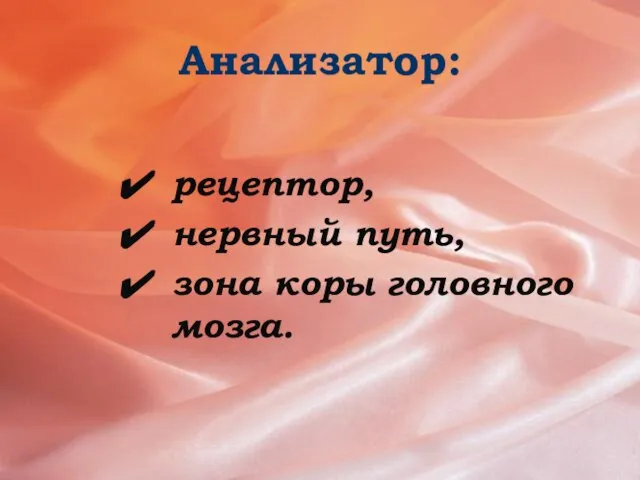 Анализатор: рецептор, нервный путь, зона коры головного мозга.