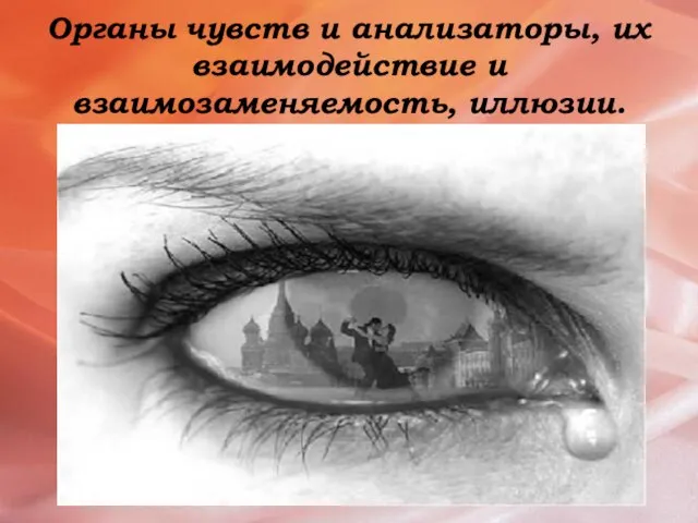 Органы чувств и анализаторы, их взаимодействие и взаимозаменяемость, иллюзии.