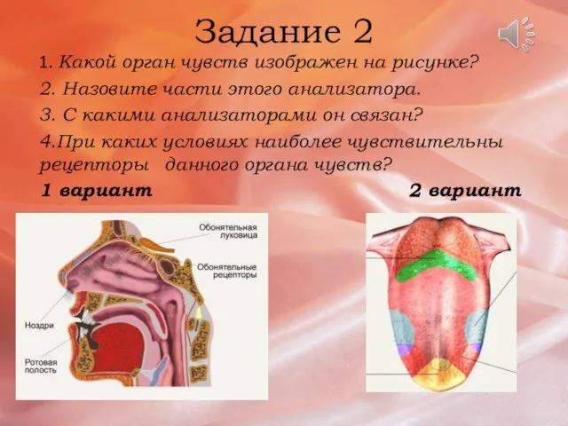 Задание 2 1. Какой орган чувств изображен на рисунке? 2. Назовите