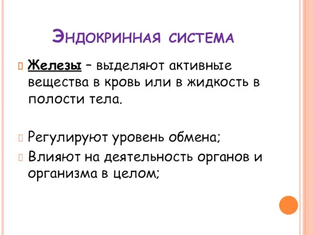 Эндокринная система Железы – выделяют активные вещества в кровь или в