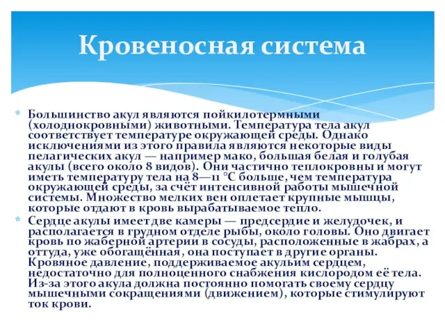 Большинство акул являются пойкилотермными (холоднокровными) животными. Температура тела акул соответствует температуре