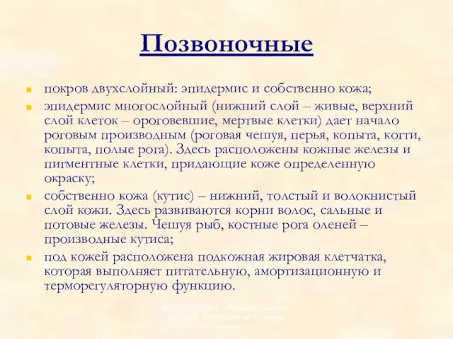 Позвоночные покров двухслойный: эпидермис и собственно кожа; эпидермис многослойный (нижний слой