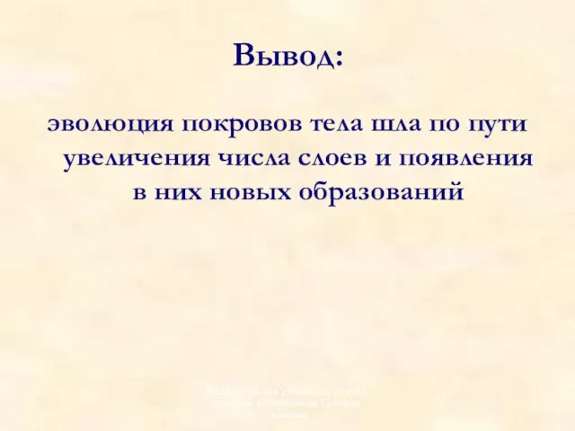 Вывод: эволюция покровов тела шла по пути увеличения числа слоев и