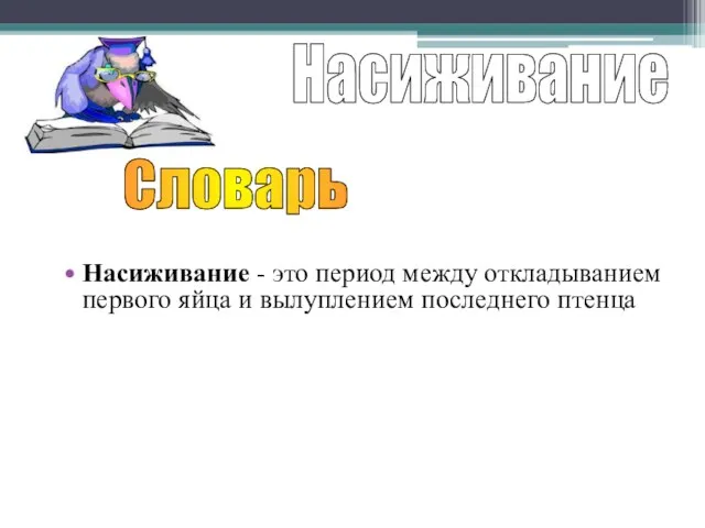 Насиживание - это период между откладыванием первого яйца и вылуплением последнего птенца Насиживание Словарь