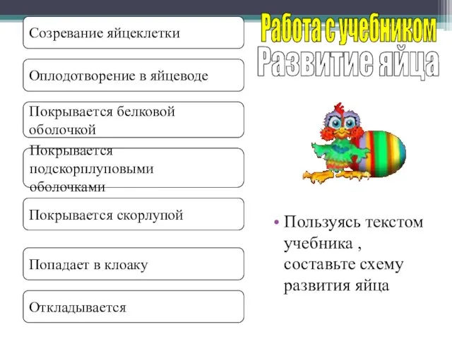 Пользуясь текстом учебника , составьте схему развития яйца Развитие яйца Работа