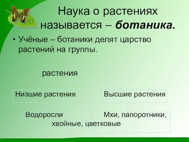 Наука о растениях называется – ботаника. Учёные – ботаники делят царство