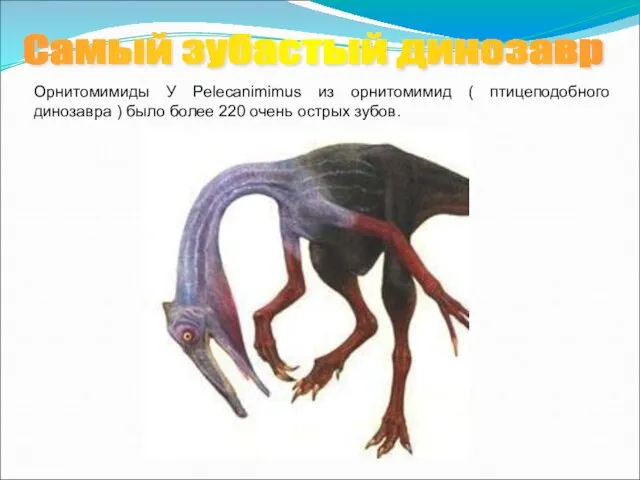 Самый зубастый динозавр Орнитомимиды У Pelecanimimus из орнитомимид ( птицеподобного динозавра