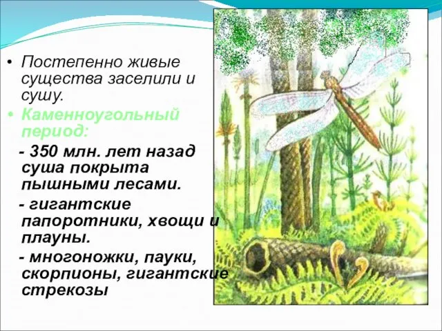 Постепенно живые существа заселили и сушу. Каменноугольный период: - 350 млн.