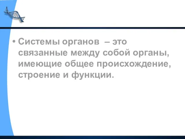 Системы органов – это связанные между собой органы, имеющие общее происхождение, строение и функции.