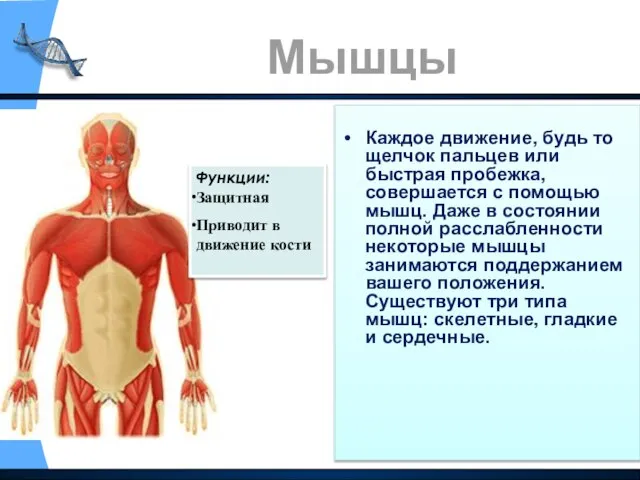 Каждое движение, будь то щелчок пальцев или быстрая пробежка, совершается с