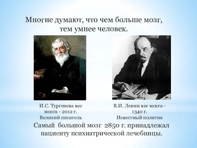 И.С. Тургенева вес мозга - 2012 г. Великий писатель В.И. Ленин
