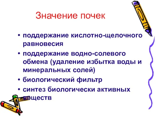 Значение почек поддержание кислотно-щелочного равновесия поддержание водно-солевого обмена (удаление избытка воды