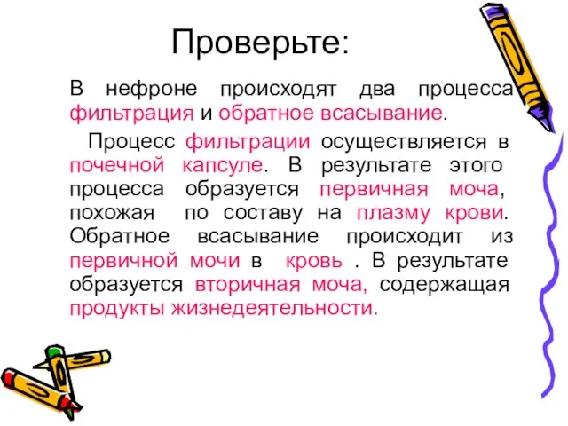 Проверьте: В нефроне происходят два процесса фильтрация и обратное всасывание. Процесс