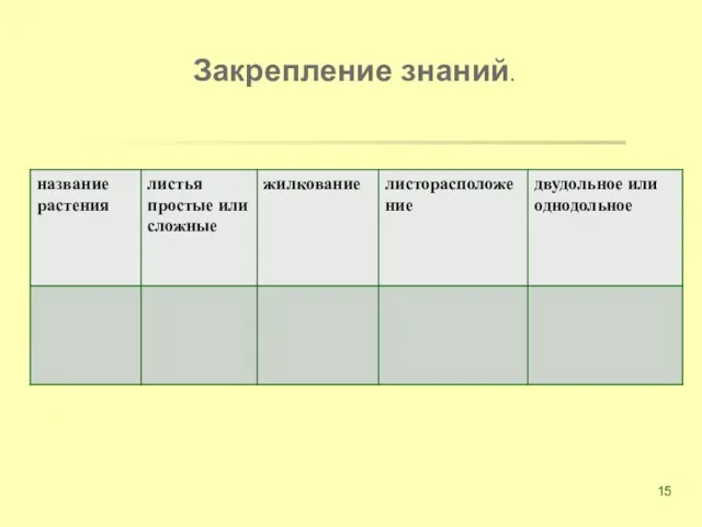 Закрепление знаний.