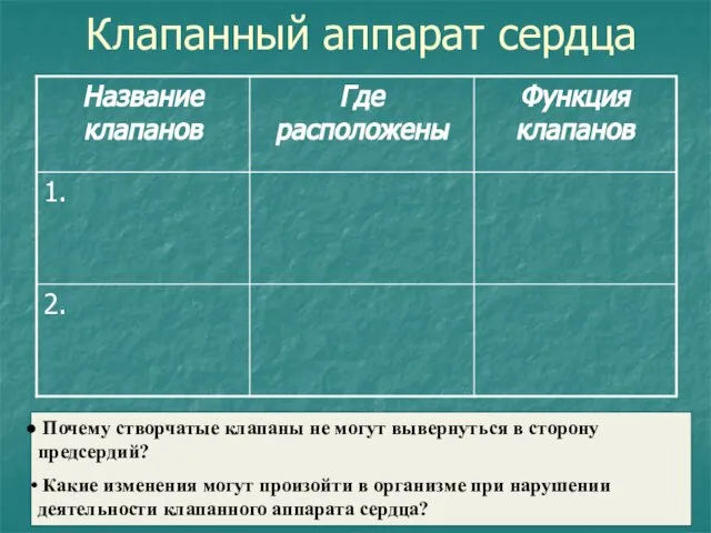 Клапанный аппарат сердца Почему створчатые клапаны не могут вывернуться в сторону