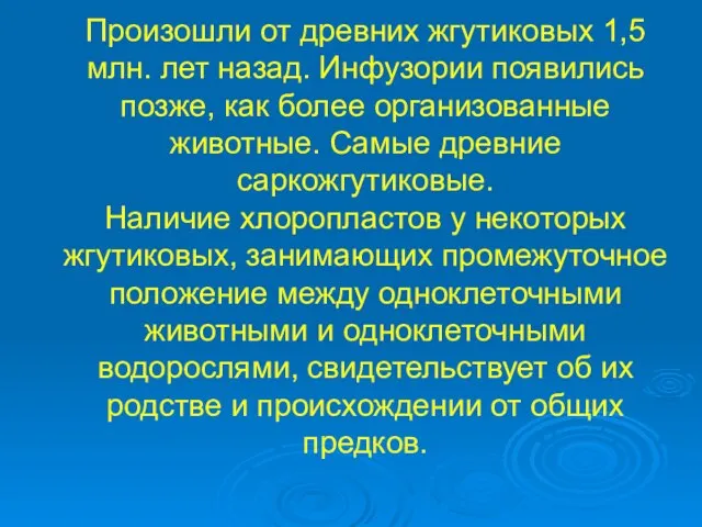 Произошли от древних жгутиковых 1,5 млн. лет назад. Инфузории появились позже,