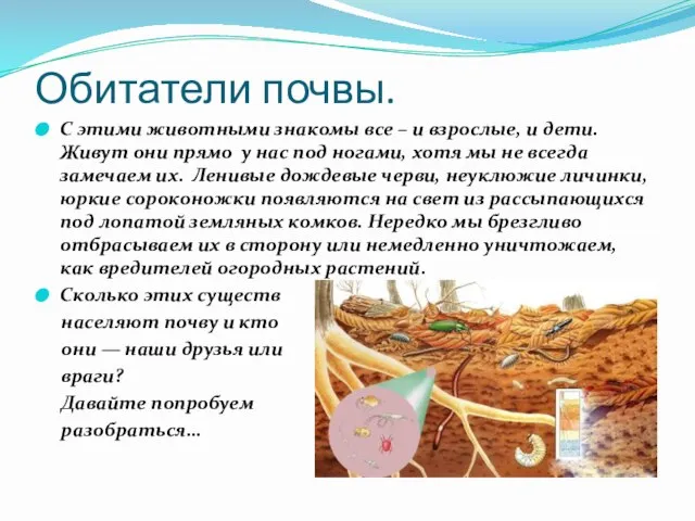 Обитатели почвы. С этими животными знакомы все – и взрослые, и