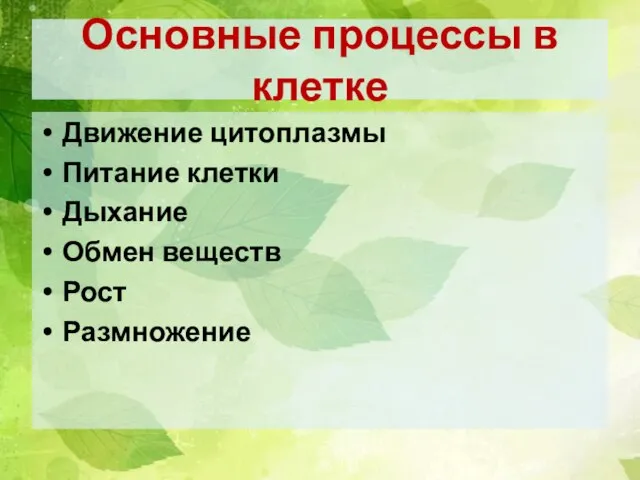 Основные процессы в клетке Движение цитоплазмы Питание клетки Дыхание Обмен веществ Рост Размножение