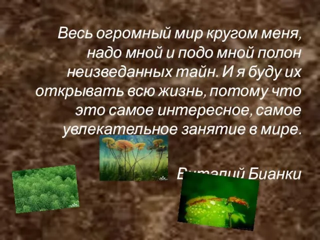 Весь огромный мир кругом меня, надо мной и подо мной полон