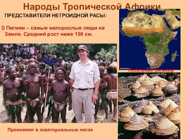 Народы Тропической Африки ПРЕДСТАВИТЕЛИ НЕГРОИДНОЙ РАСЫ: Пигмеи – самые малорослые люди