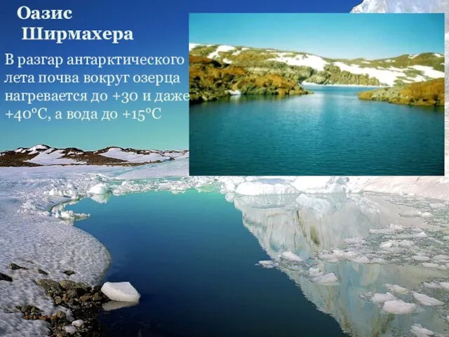 Оазис Ширмахера В разгар антарктического лета почва вокруг озерца нагревается до