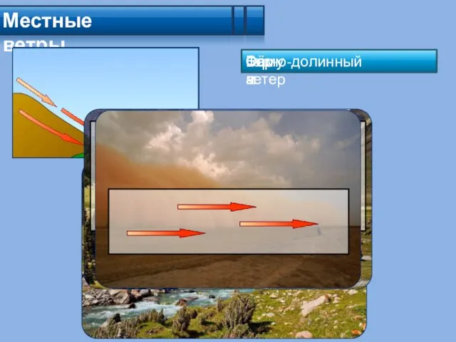 Местные ветры Бора Горно-долинный ветер Фён Самум