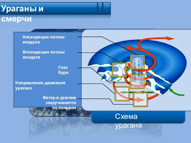 Ураганы и смерчи Схема урагана Нисходящие потоки воздуха Направление движения урагана