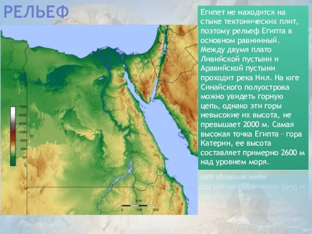 Рельеф Египет не находится на стыке тектонических плит, поэтому рельеф Египта