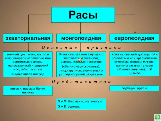 Расы