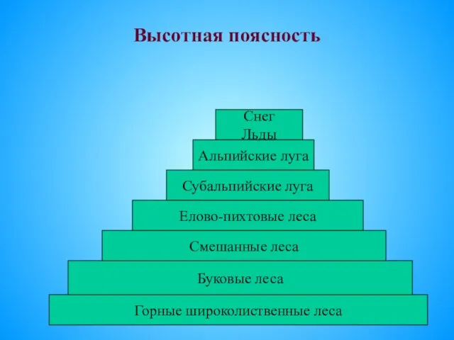 Высотная поясность Горные широколиственные леса Буковые леса Смешанные леса Елово-пихтовые леса