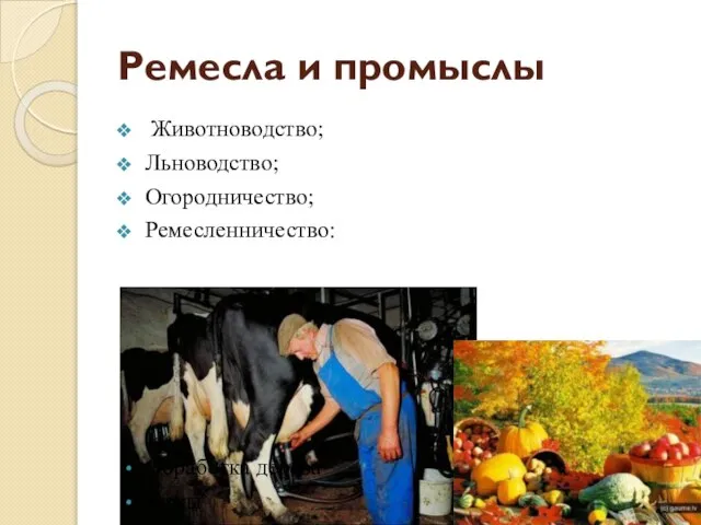 Ремесла и промыслы Животноводство; Льноводство; Огородничество; Ремесленничество: Обработка дерева Кожы Металла Ткачество