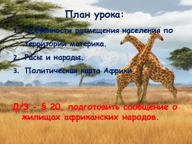 План урока: Особенности размещения населения по территории материка. Расы и народы.