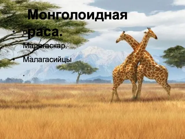 Монголоидная раса. о. Мадагаскар. Малагасийцы.