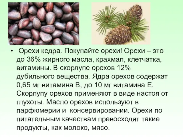 Орехи кедра. Покупайте орехи! Орехи – это до 36% жирного масла,