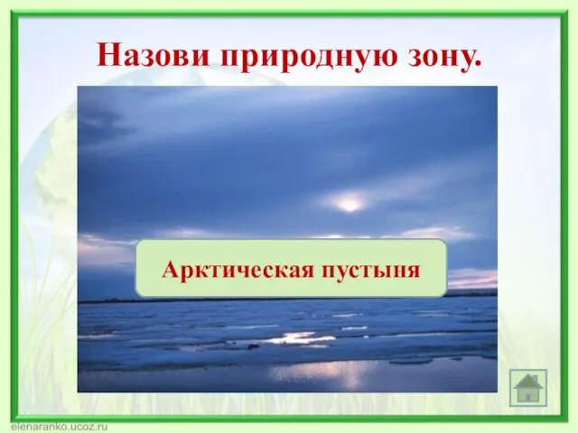 Назови природную зону. Саванна Экваториальный лес Лиственный лес Пустыня Тундра Смешанный лес Степь Арктическая пустыня