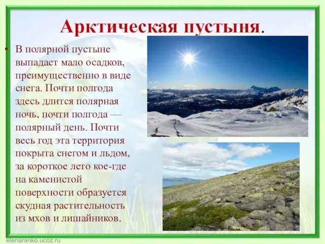 Арктическая пустыня. В полярной пустыне выпадает мало осадков, преимущественно в виде