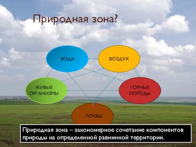 Природная зона? ВОДА ВОЗДУХ ГОРНЫЕ ПОРОДЫ ПОЧВЫ ЖИВЫЕ ОРГАНИЗМЫ Природная зона