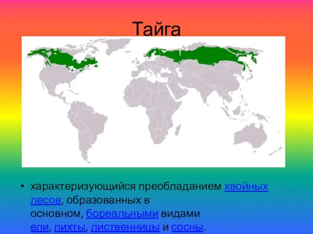 Тайга характеризующийся преобладанием хвойных лесов, образованных в основном, бореальными видами ели, пихты, лиственницы и сосны.