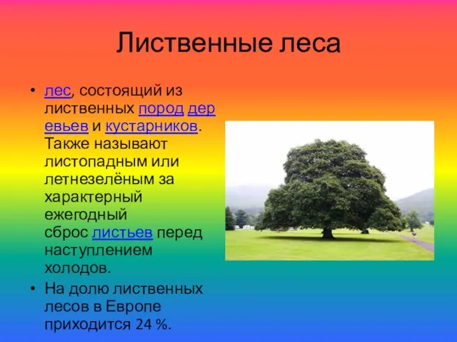 Лиственные леса лес, состоящий из лиственных пород деревьев и кустарников. Также