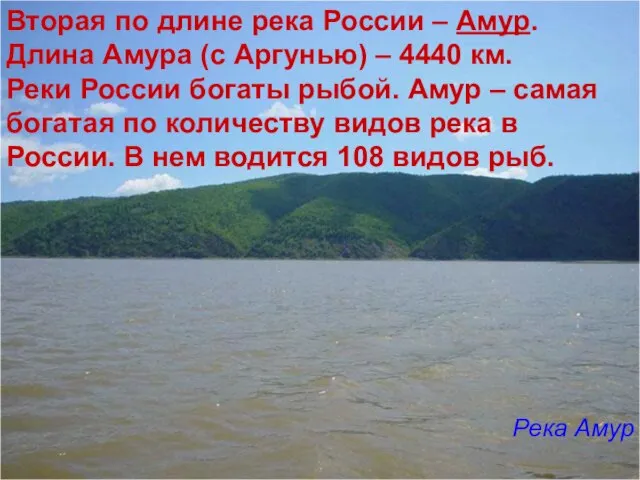 Вторая по длине река России – Амур. Длина Амура (с Аргунью)