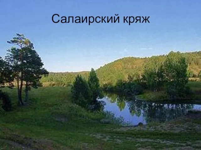 Салаирский кряж