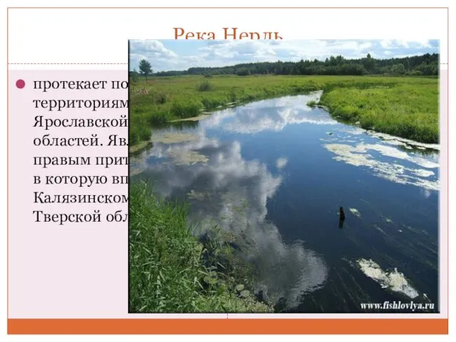 Река Нерль протекает по территориям Ярославской и Тверской областей. Является правым