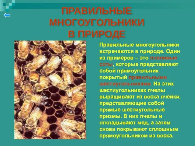 ПРАВИЛЬНЫЕ МНОГОУГОЛЬНИКИ В ПРИРОДЕ Правильные многоугольники встречаются в природе. Один из