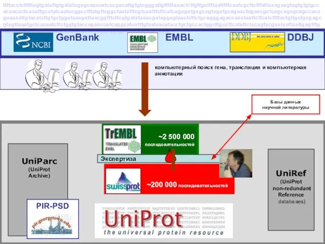 ~2 500 000 последовательностей компьютерный поиск гена, трансляция и компьютерная аннотация