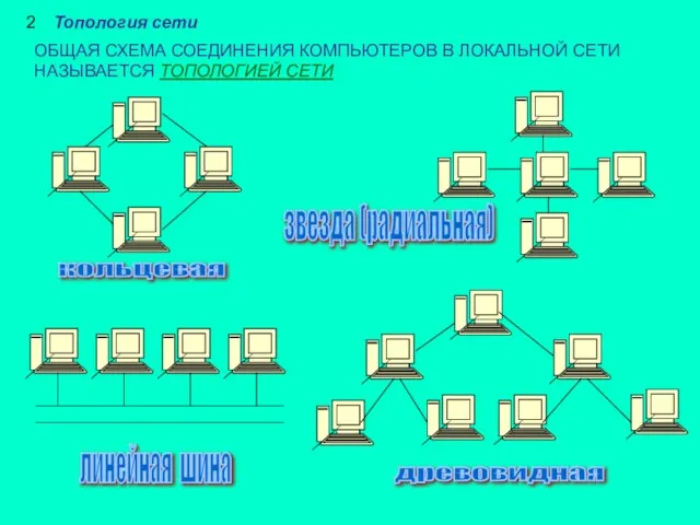 2 Топология сети ОБЩАЯ СХЕМА СОЕДИНЕНИЯ КОМПЬЮТЕРОВ В ЛОКАЛЬНОЙ СЕТИ НАЗЫВАЕТСЯ