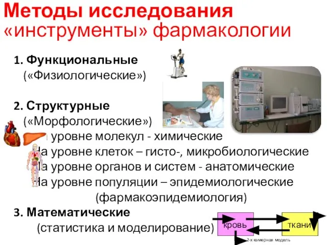 1. Функциональные («Физиологические») 2. Структурные («Морфологические») На уровне молекул - химические