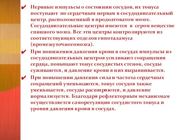 Нервные импульсы о состоянии сосудов, их тонуса поступают по сердечным нервам