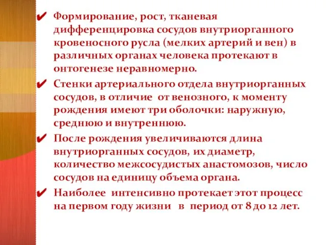 Формирование, рост, тканевая дифференцировка сосудов внутриорганного кровеносного русла (мелких артерий и